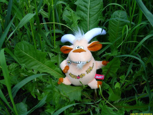 обоя любовь, зла, юмор, приколы