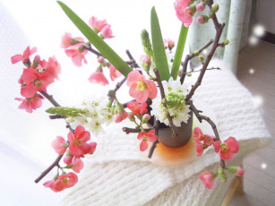 Картинка цветы букеты композиции