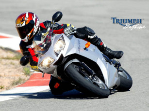 Картинка мотоциклы triumph