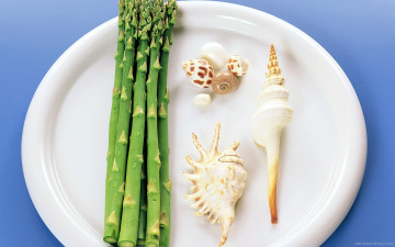 обоя еда, спаржа