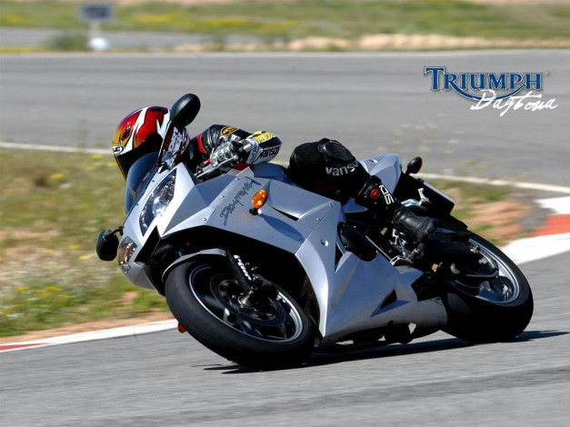 Обои картинки фото мотоциклы, triumph