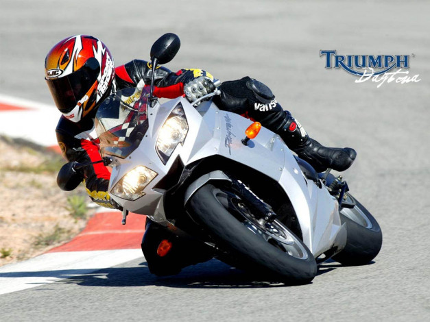 Обои картинки фото мотоциклы, triumph