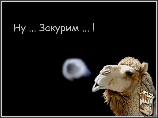 Обои картинки фото юмор, приколы