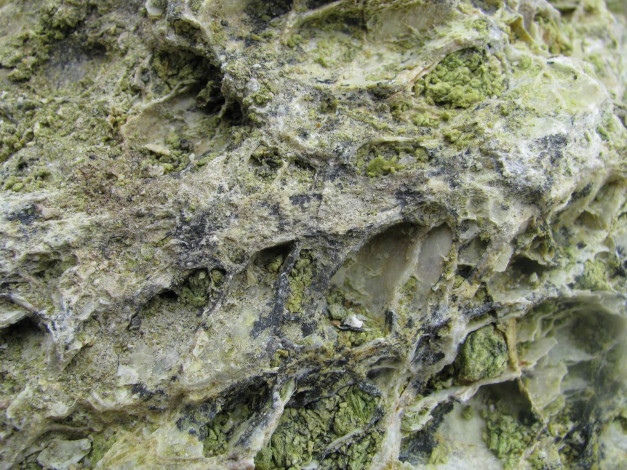 Обои картинки фото 