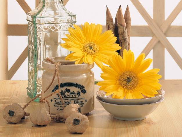 Обои картинки фото цветы, герберы