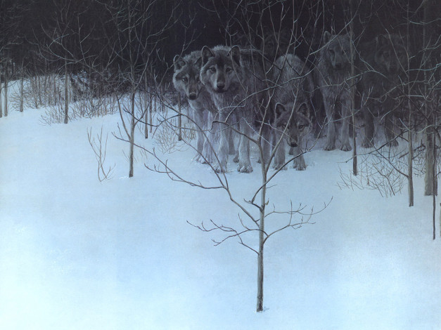 Обои картинки фото рисованные, животные, волки