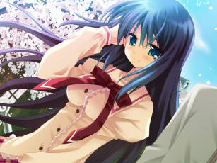 Картинка аниме hana fubuki