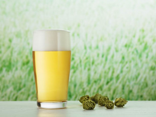 Картинка еда напитки пиво