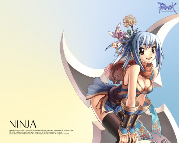 Обои картинки фото видео, игры, ragnarok, online