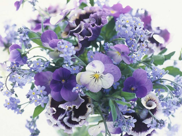 Обои картинки фото цветы, букеты, композиции