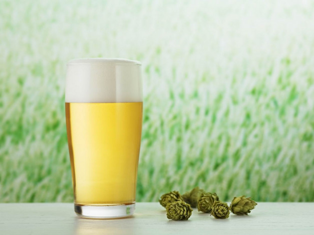 Обои картинки фото еда, напитки, пиво