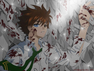 Картинка аниме tsubasa reservoir chronicles