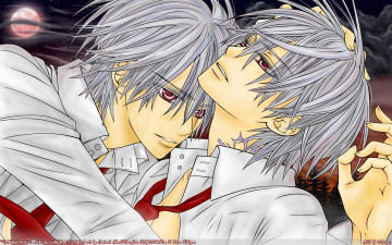 Картинка аниме vampire knight