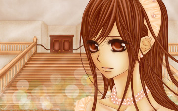 Картинка аниме vampire knight