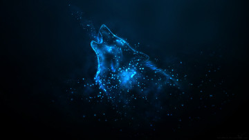 Картинка 3д графика animals животные волк