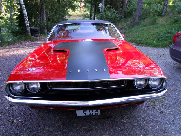 Обои картинки фото автомобили, выставки, уличные, фото, dodge, challenger