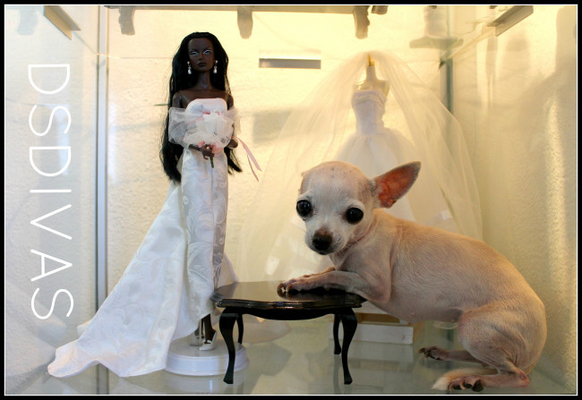 Обои картинки фото животные, собаки, кукла, собака