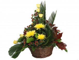 Картинка цветы букеты композиции букет хризантемы корзина