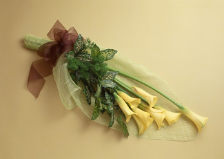 Картинка цветы каллы