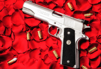 Картинка оружие пистолеты ствол лепестки пули