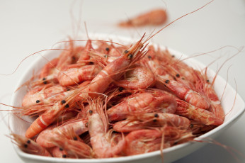 Картинка еда рыба морепродукты суши роллы креветки