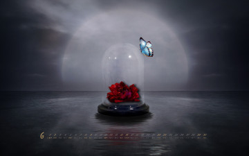 Картинка календари компьютерный дизайн бабочка колба цветы