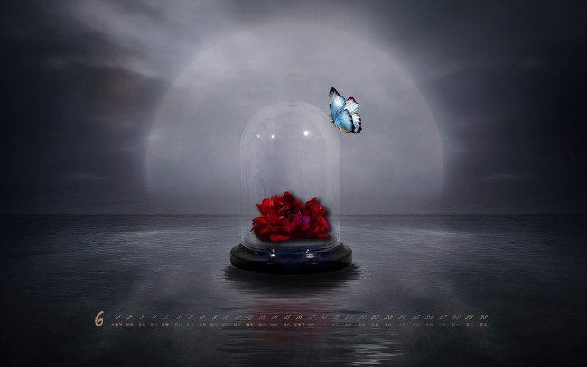 Обои картинки фото календари, компьютерный, дизайн, бабочка, колба, цветы