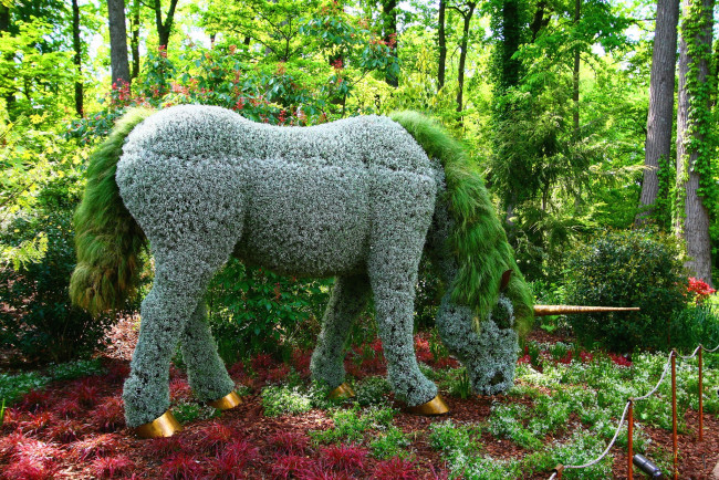 Обои картинки фото разное, рельефы, статуи, музейные, экспонаты, мох, лошадь, фитоскульптура