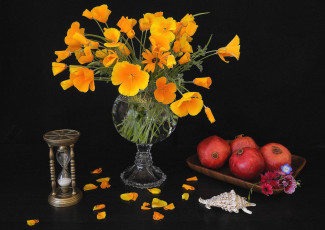 Картинка еда гранат часы эшшольция