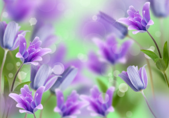 Картинка цветы колокольчики flowers bells