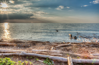 Картинка природа побережье океан пляж горизонт солнце