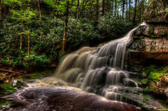 Картинка природа водопады водопад лес река