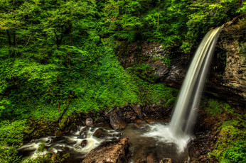 Картинка природа водопады водопад река лес