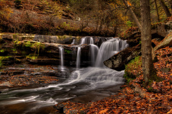 Картинка природа водопады водопад река лес