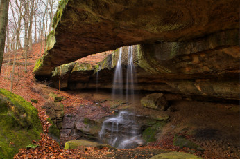 Картинка природа водопады водопад река лес