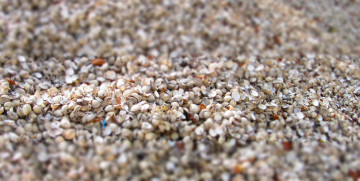 Картинка разное ракушки +кораллы +декоративные+и+spa-камни много