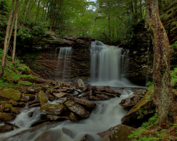 Обои картинки фото природа, водопады, водопад, лес, река