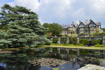 Картинка города -+пейзажи пейзаж озеро здание дом деревья растения