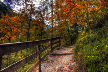 Картинка природа дороги тракт