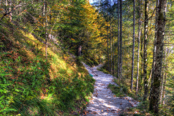 Картинка природа дороги тракт