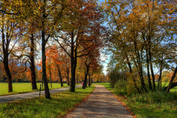 Картинка природа дороги тракт