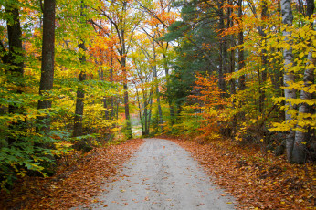 Картинка природа дороги тракт