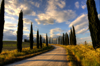 Картинка природа дороги тракт