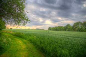 Картинка природа дороги тракт