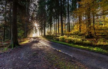 Картинка природа дороги тракт