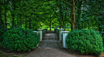 Картинка природа парк аллея