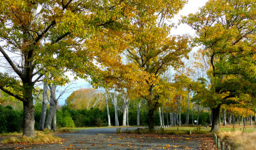 Картинка природа дороги тракт