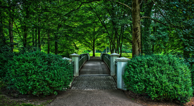 Обои картинки фото природа, парк, аллея