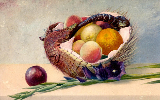 Обои картинки фото рисованное, живопись, цветок, корзина, фрукты, натюрморт