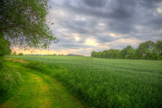 Обои картинки фото природа, дороги, тракт